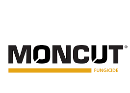 Moncut - 0